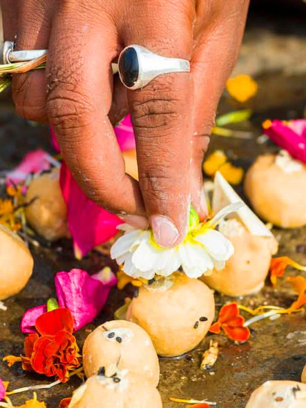 Pitru Dosh Puja: The yajman places flowers on the pinda offering at Godavari River bank, Trimbakeshwar.